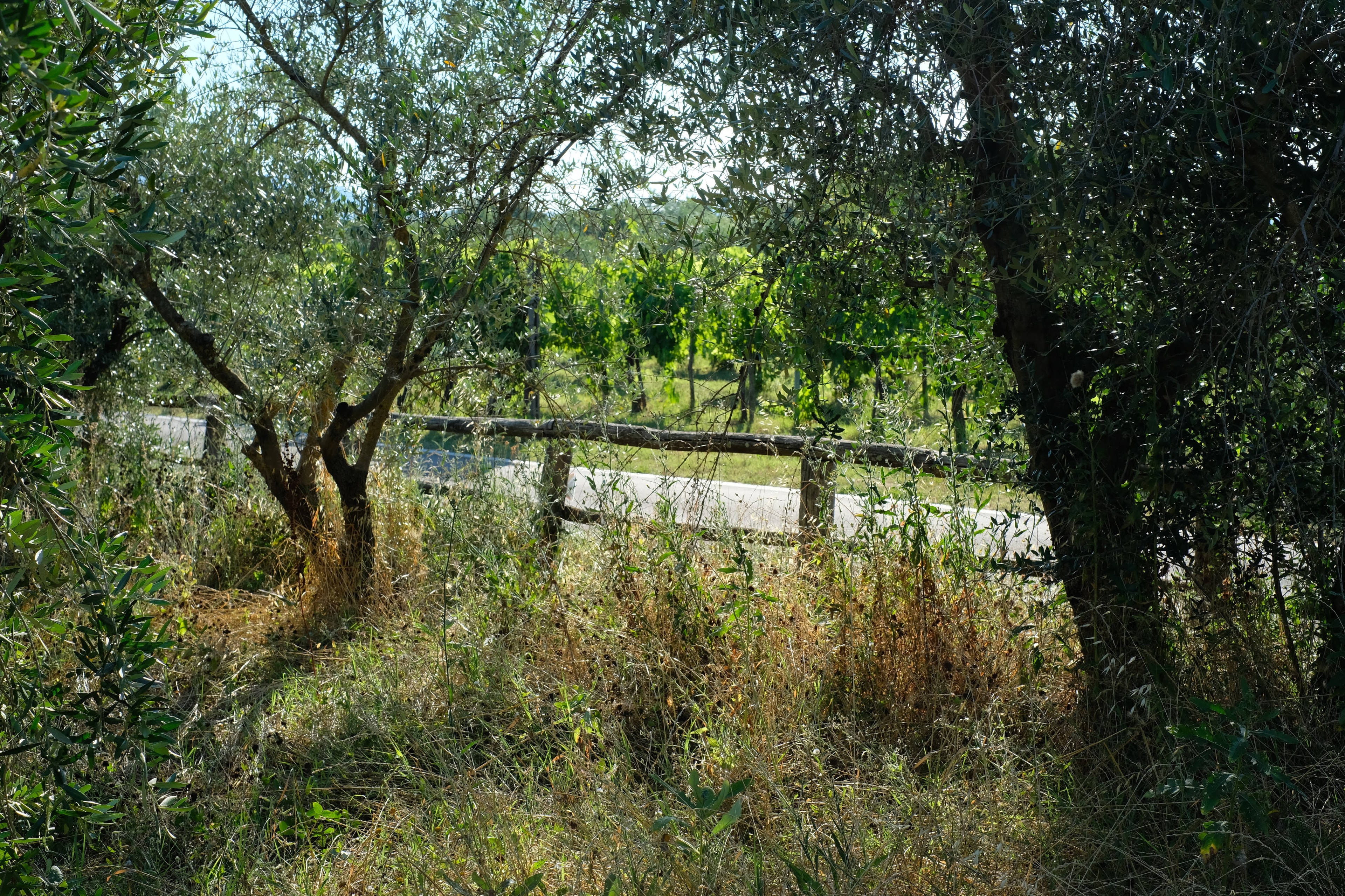 The Gate