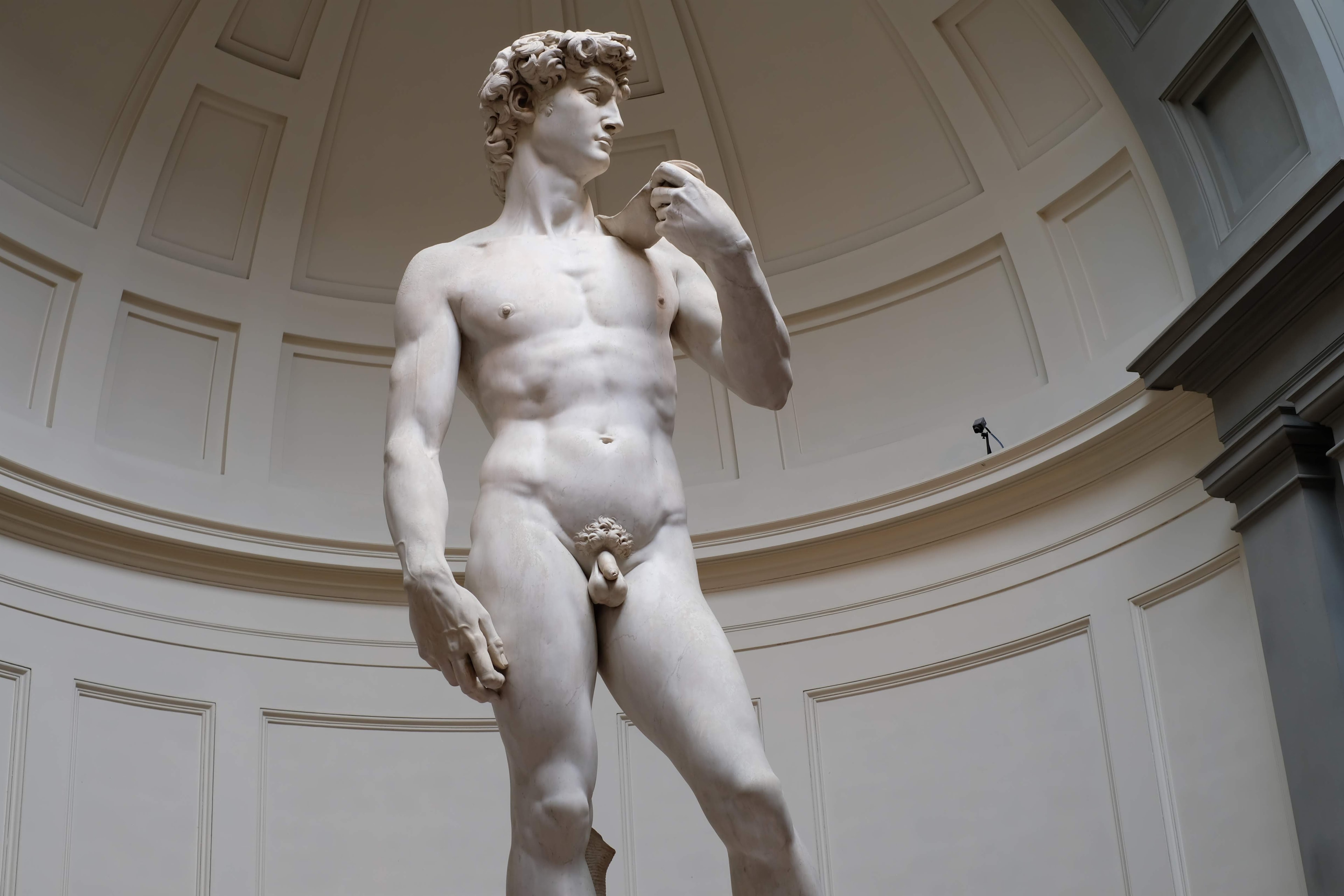 The David