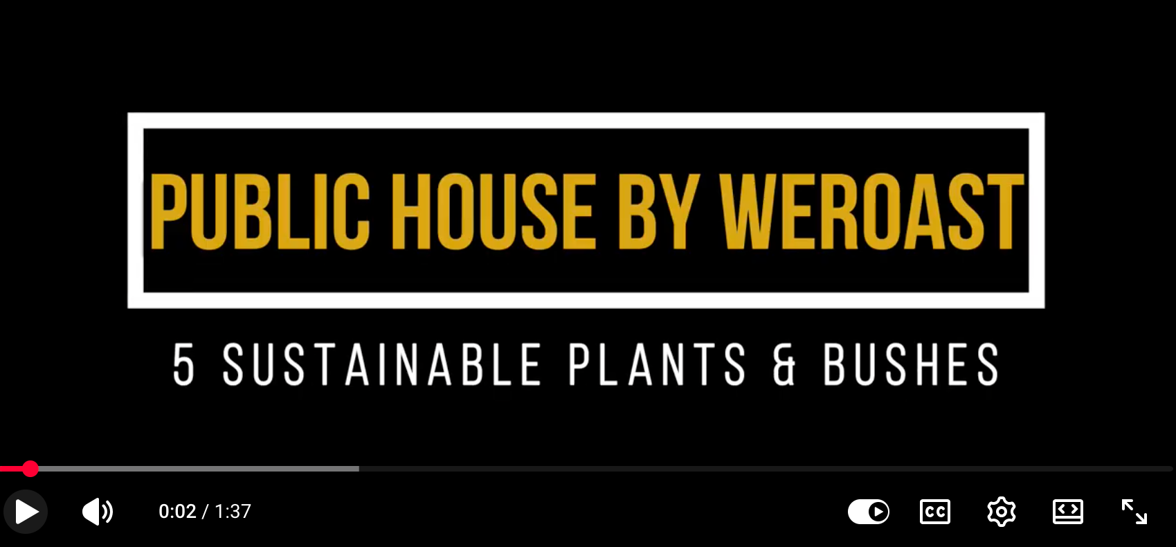 Public House by WeRoast 5 Sustainable Plants and Bushes